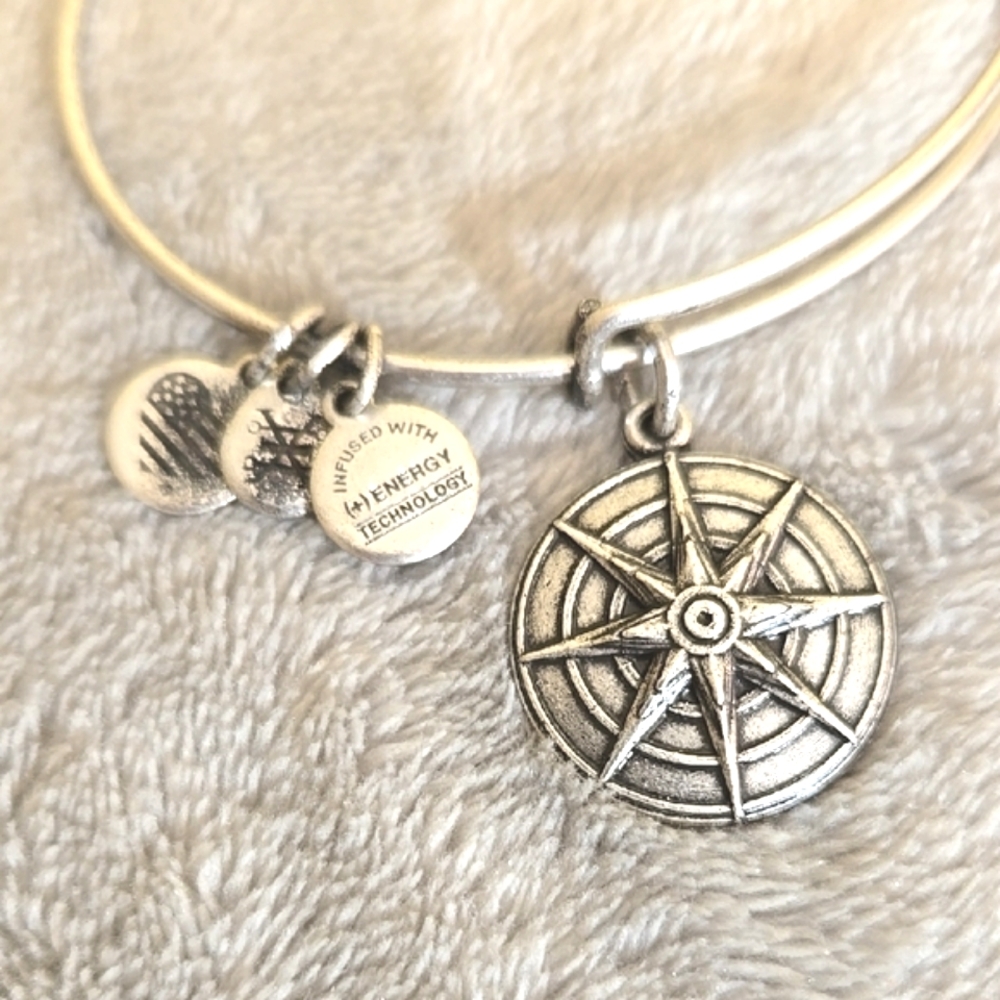 #101 Alex And Ani Star Of Venus Aged Silver Tone Bangle Bracelet - Picture 2 of 3